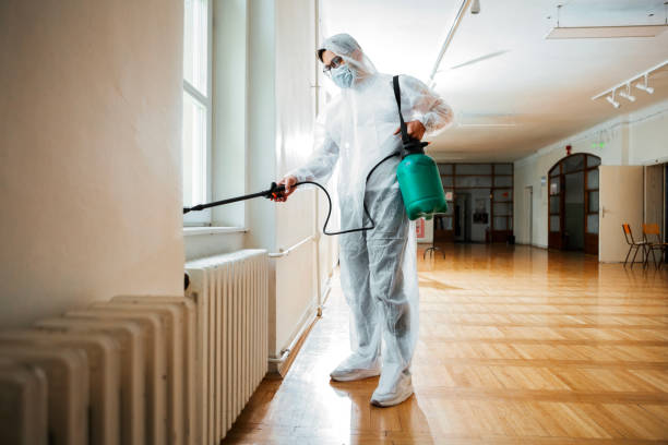 Best Real Estate Pest Inspections  in Woodlands, CA